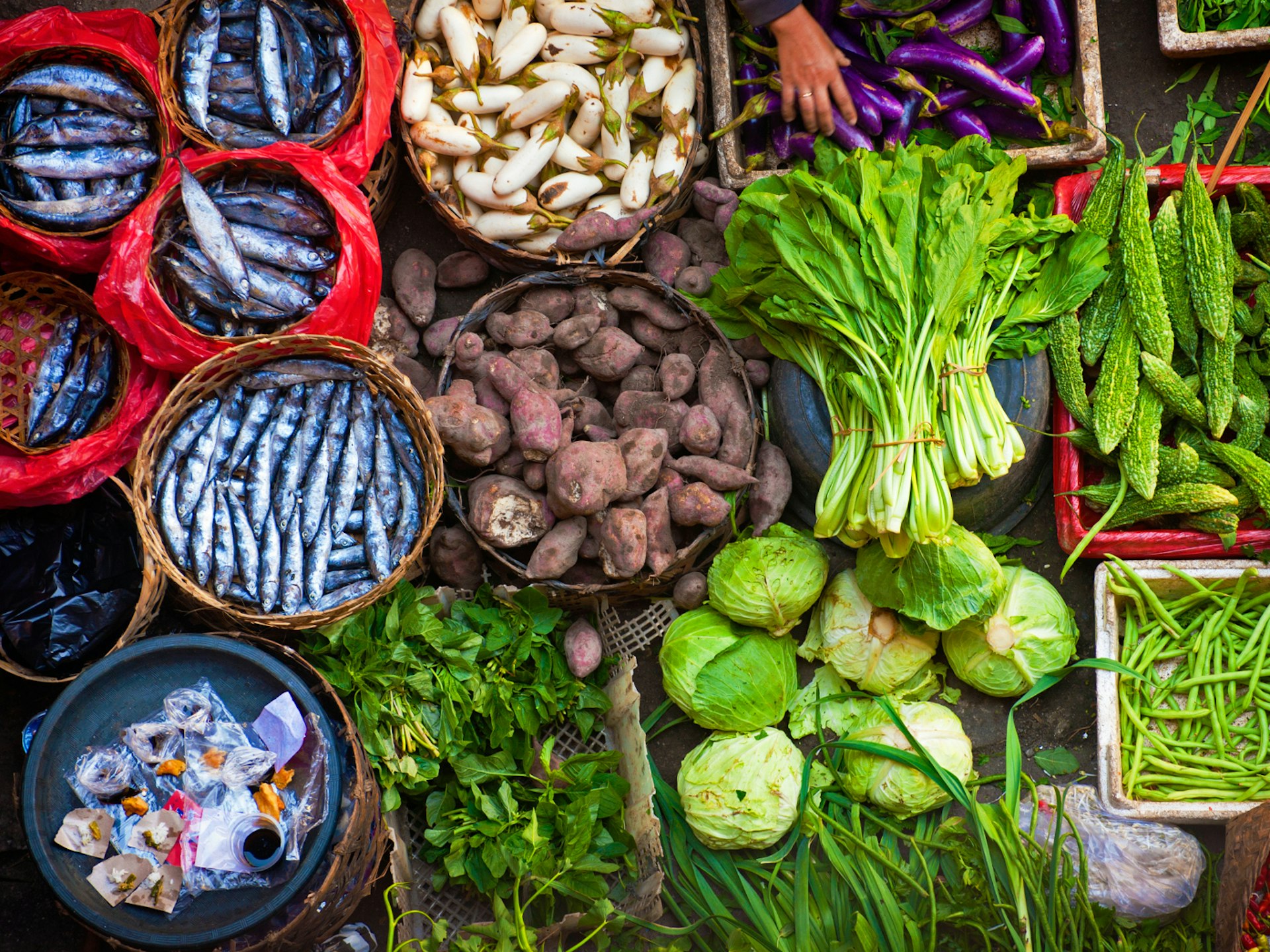 Fresh veg and fish on sale at Ubud's Organic Market