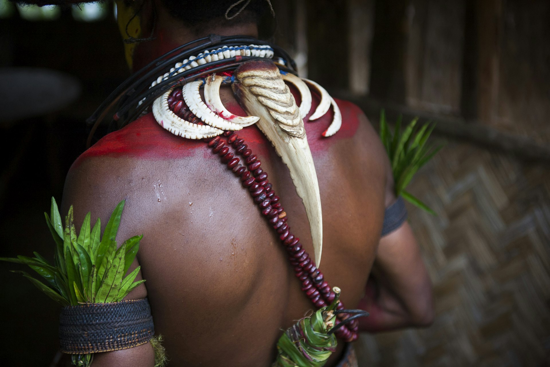 Features - Male Huli wearing a hornbill beak around her neck, Papua New Guinea