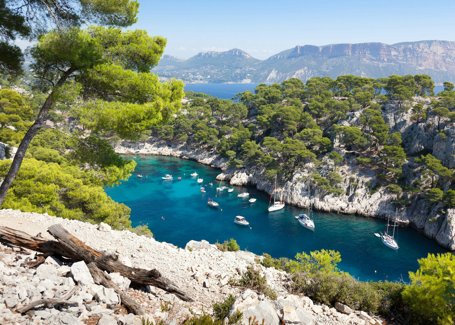 A calanque (steep-sided cove) in Provence near Cassis © sam74100 / Getty Images