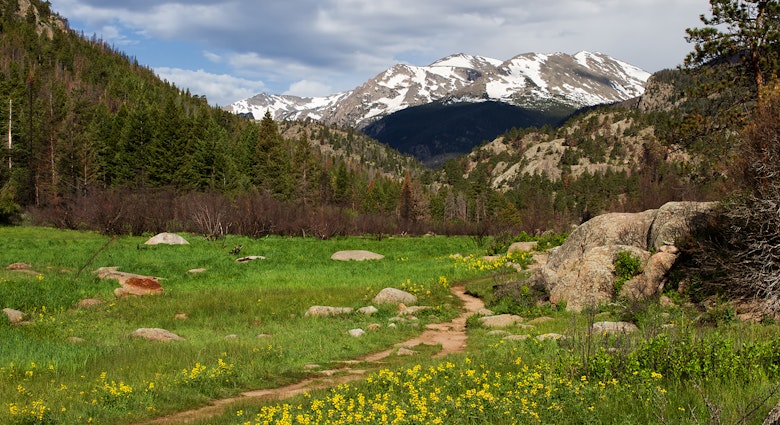 Features - Cub Lake Trail in Rocky Mountain National Park