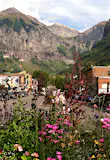 Flowers grow in the median of a street in the small mountain ski town of Telluride, Colorado with one of the Rocky Mountains looming in the background © Jay Gentile / Lonely Planet
