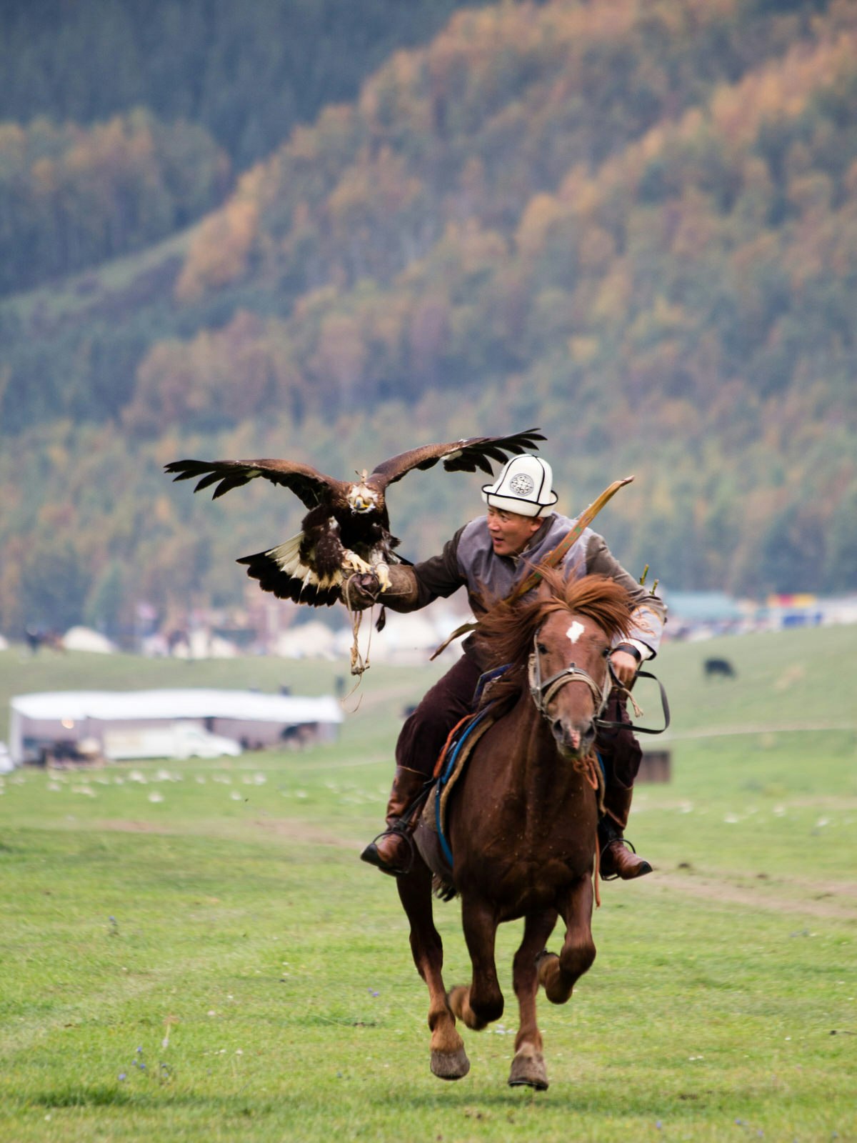 Salburuun Master Almaz Akunov gallops his horse across the pasture with an eagle on his arm to demonstrate traditional hunting methods during the 2016 World Nomad Games © Stephen Lioy / Lonely Planet