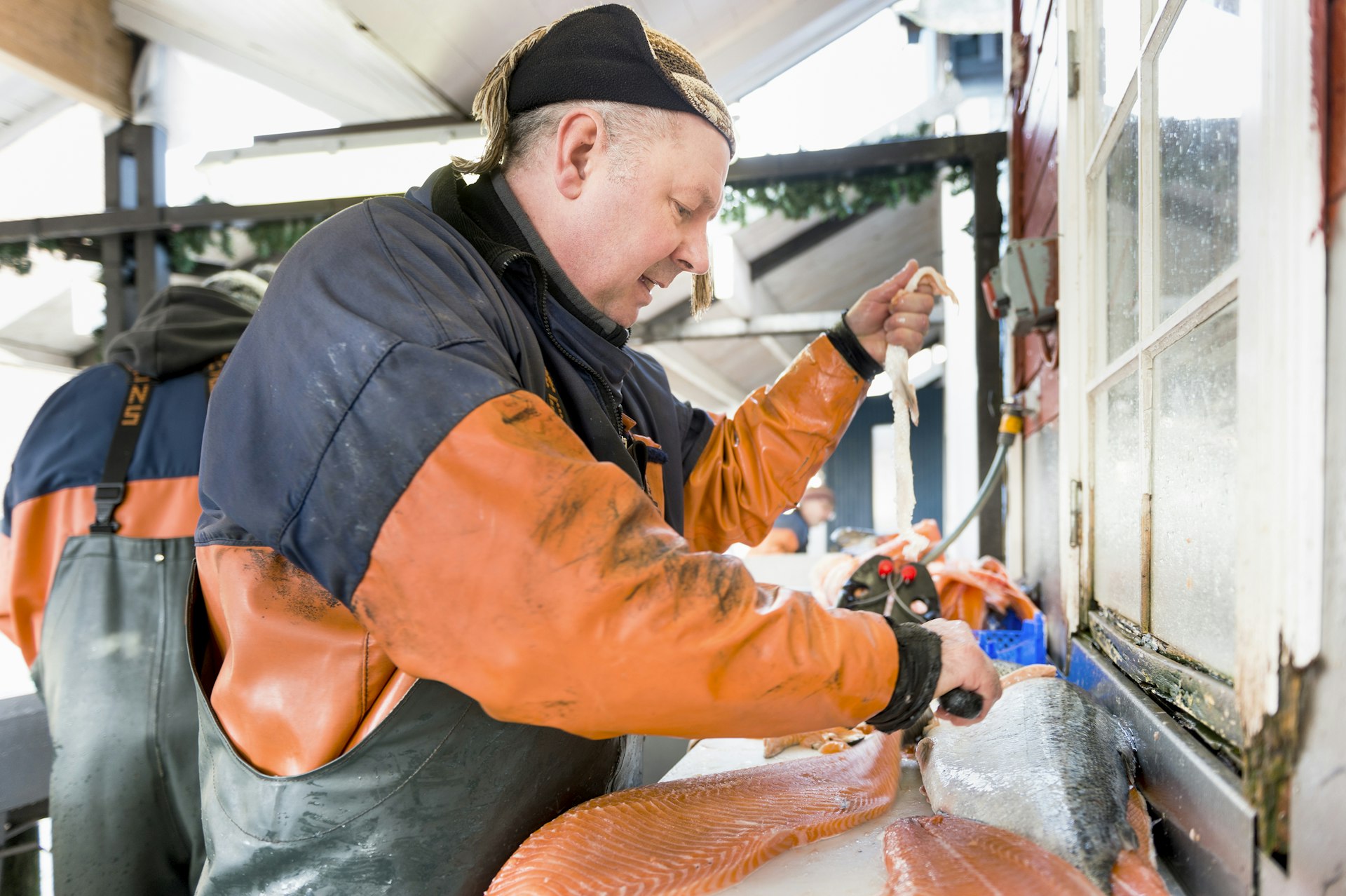 Features - Side view of mature fisherman filleting salmon in fishing industry