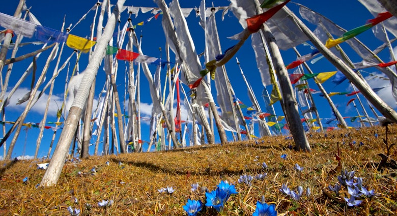A jungle of prayer flags a top Cheli La pass (3810m), enroute to Haa Valley from Paro. Bhutan, 2005.