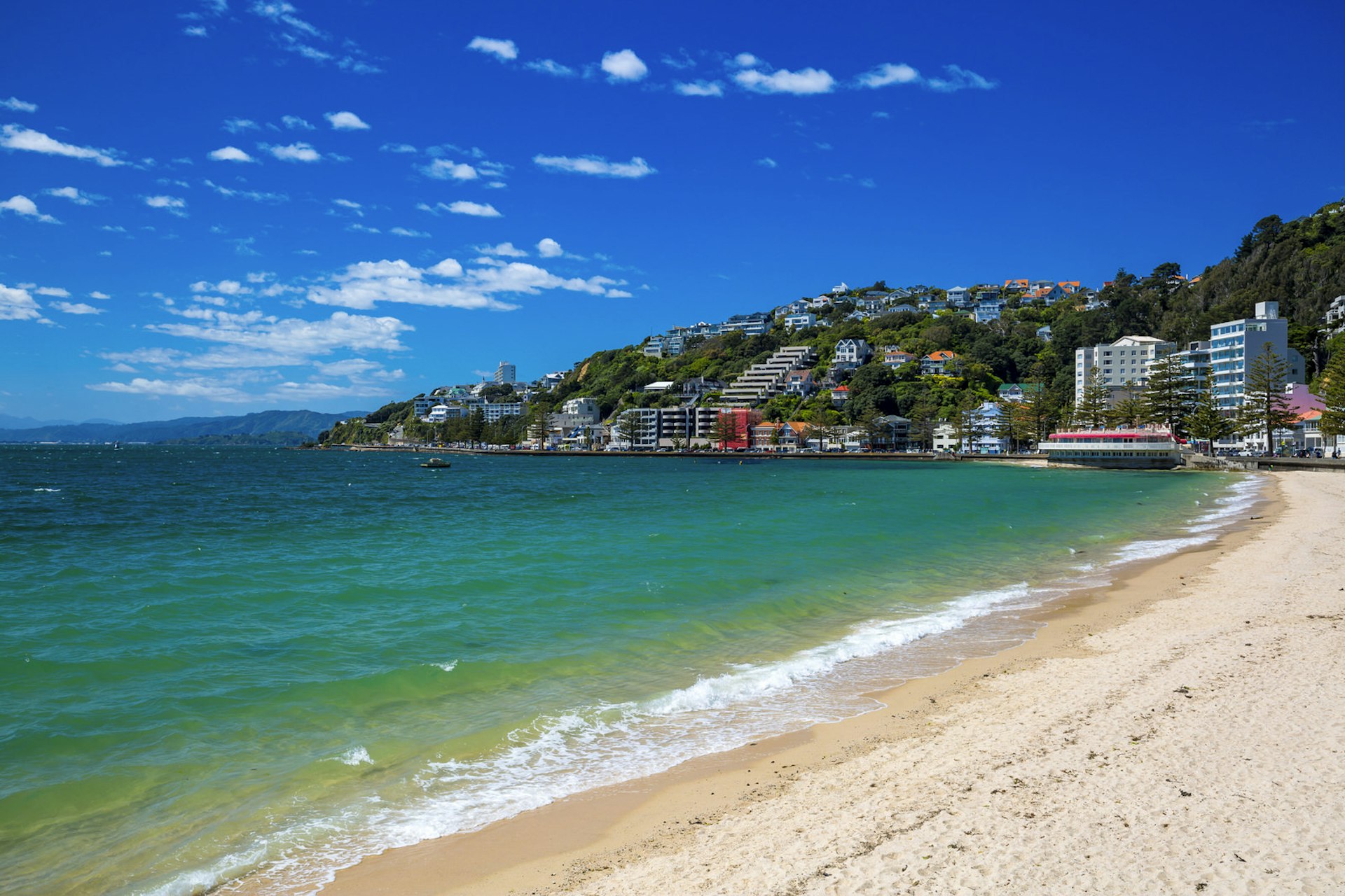 Oriental Bay, Wellington, New Zealand © denisunlusu / Getty Images