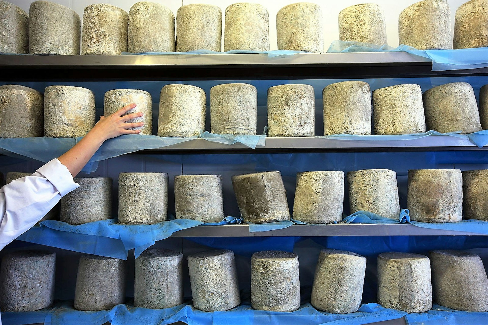 Say (Wensleydale) cheese! © Christopher Furlong / Getty Images
