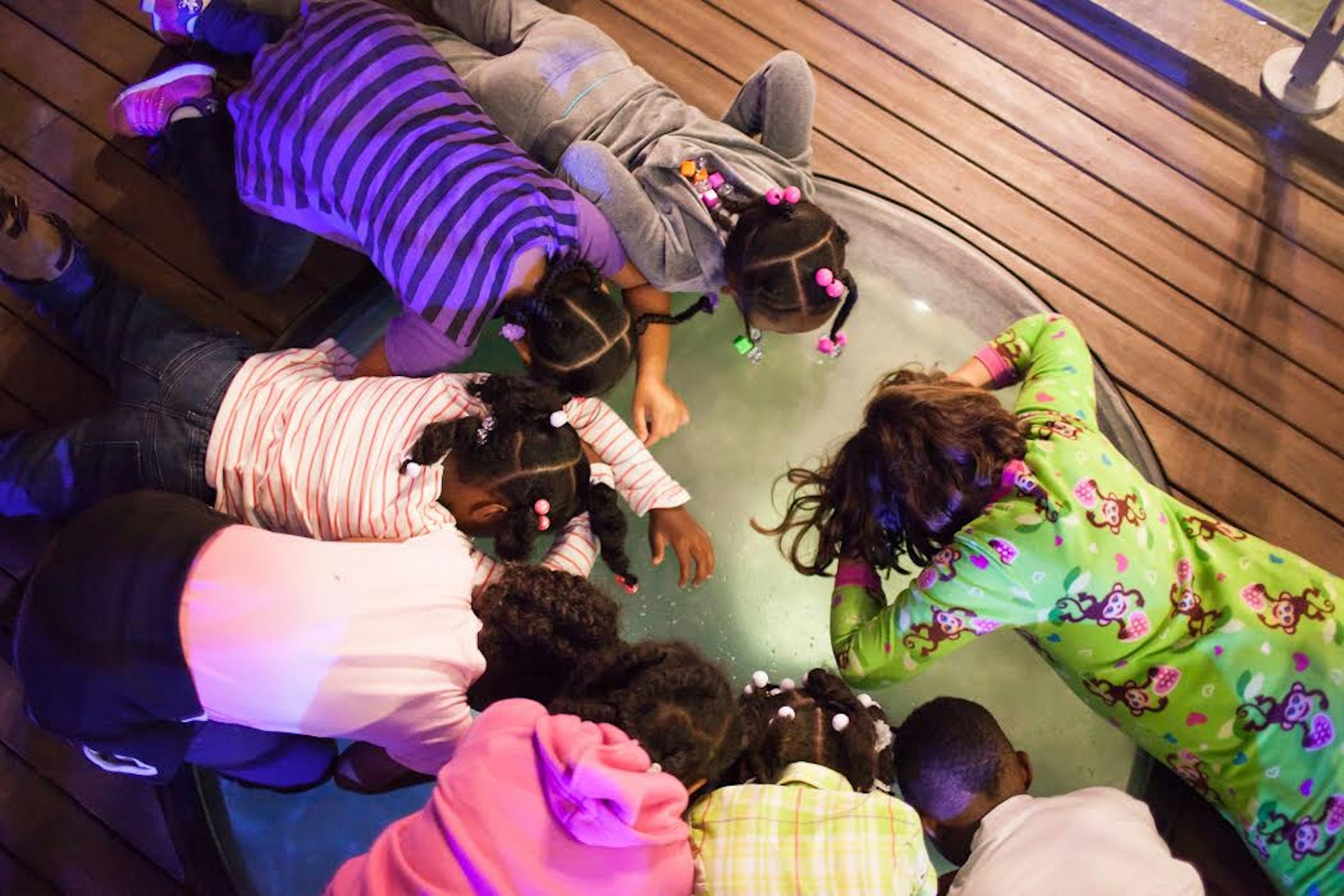 Children circle a open view tank into the reef lagoon © California Academy of Sciences