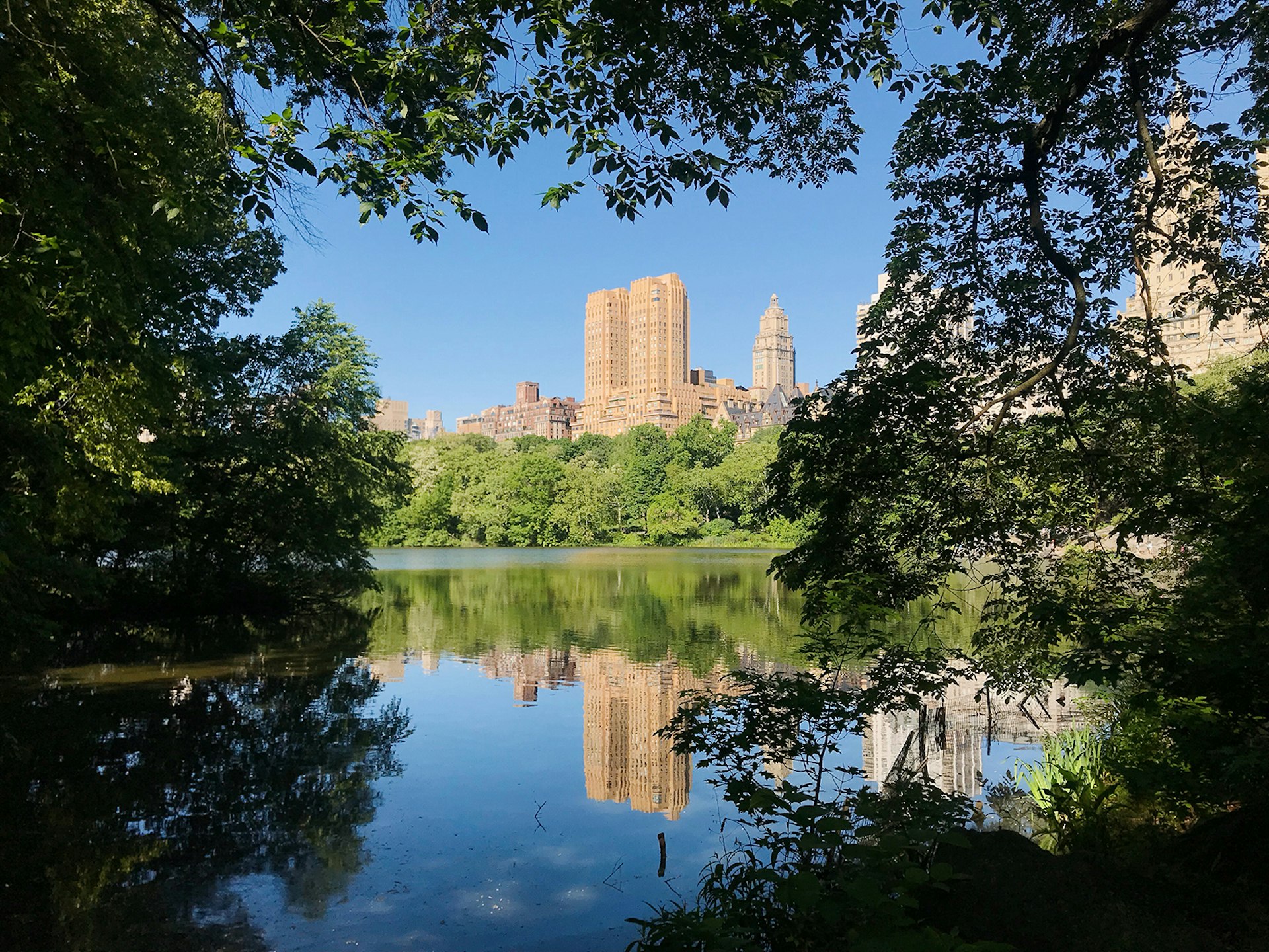 A glimpse of the Upper West Side of NYC from the far side of Central Park Lake, with trees framing the buildings and a blue sky. © Mikki Brammer / Lonely Planet 