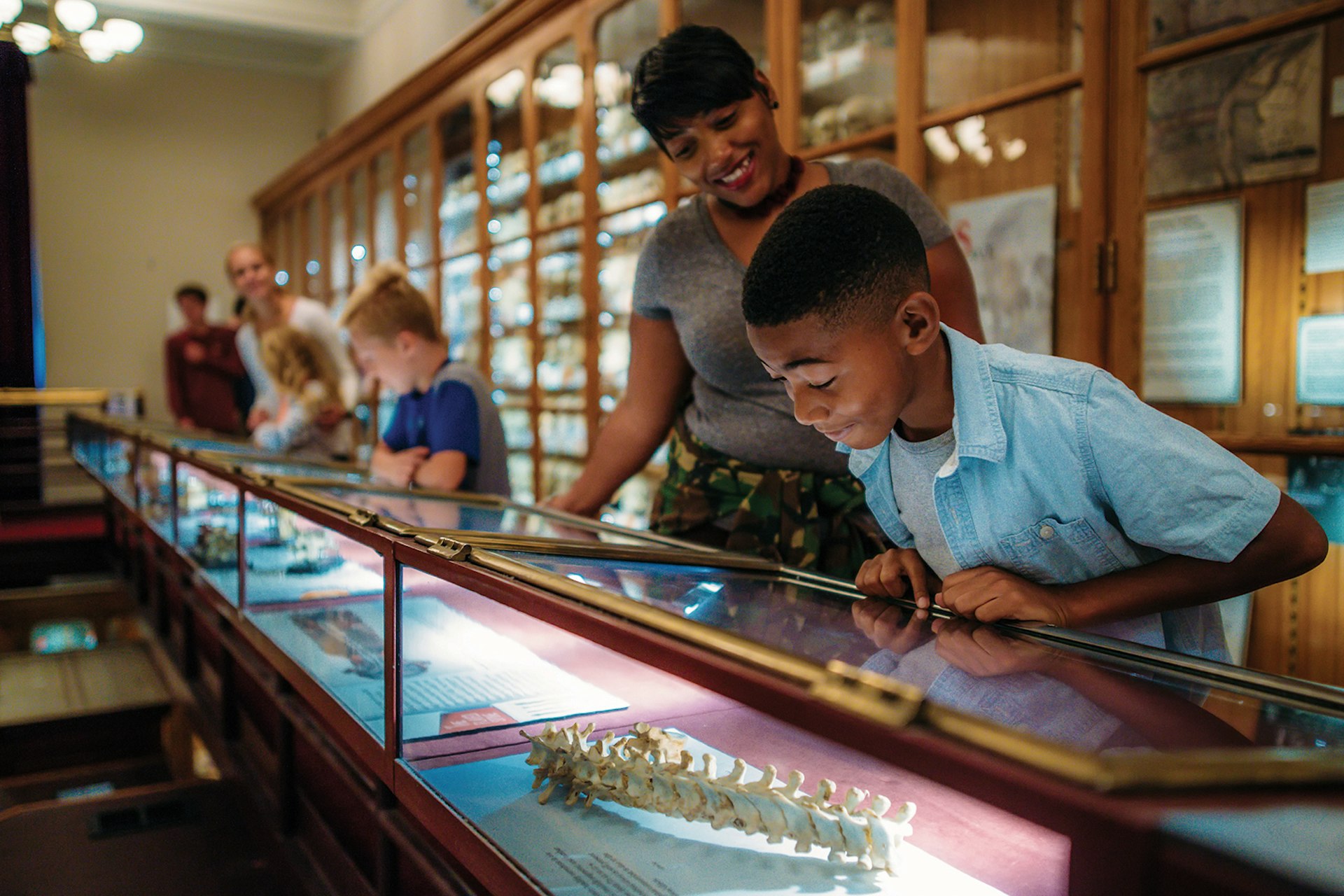 woman and boy peer into an old-fashioned glass specimen case at the Mütter Museum