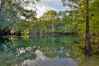 Features - Manatee Springs on the Suwanee River, Florida