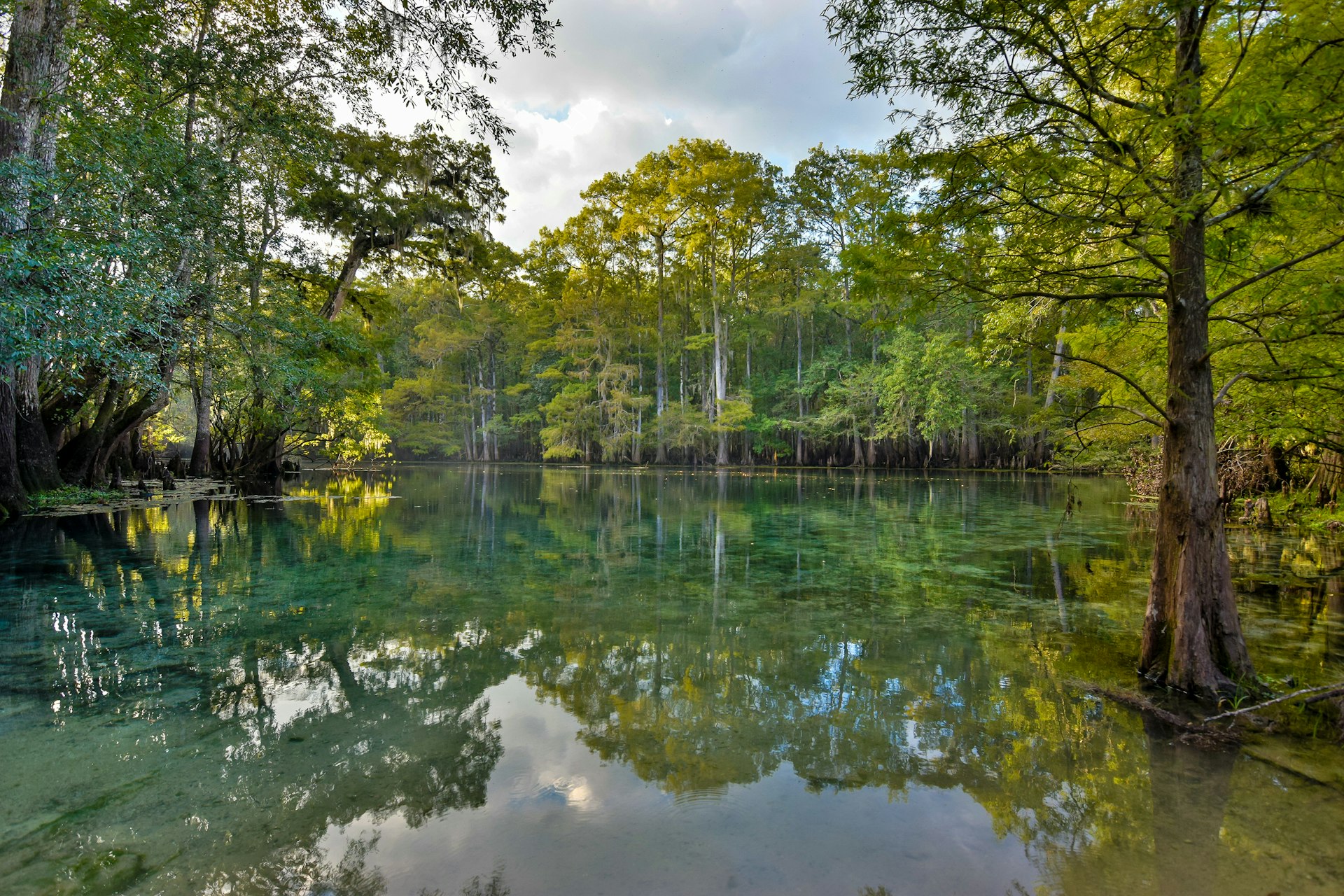 Features - Manatee Springs on the Suwanee River, Florida