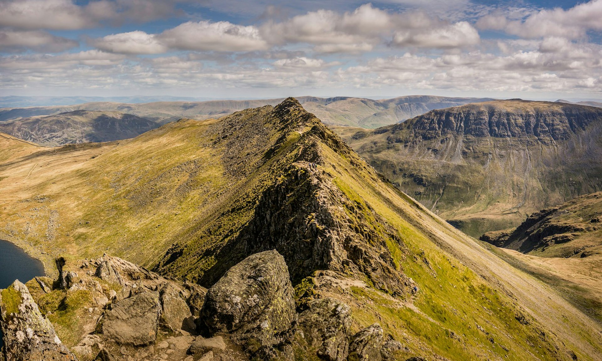 Helvellyn's Striding Edge ascent, viewed from the summit. The walkway is very narrow, running along a peak with steep edges either side. In the background are rolling green hills 