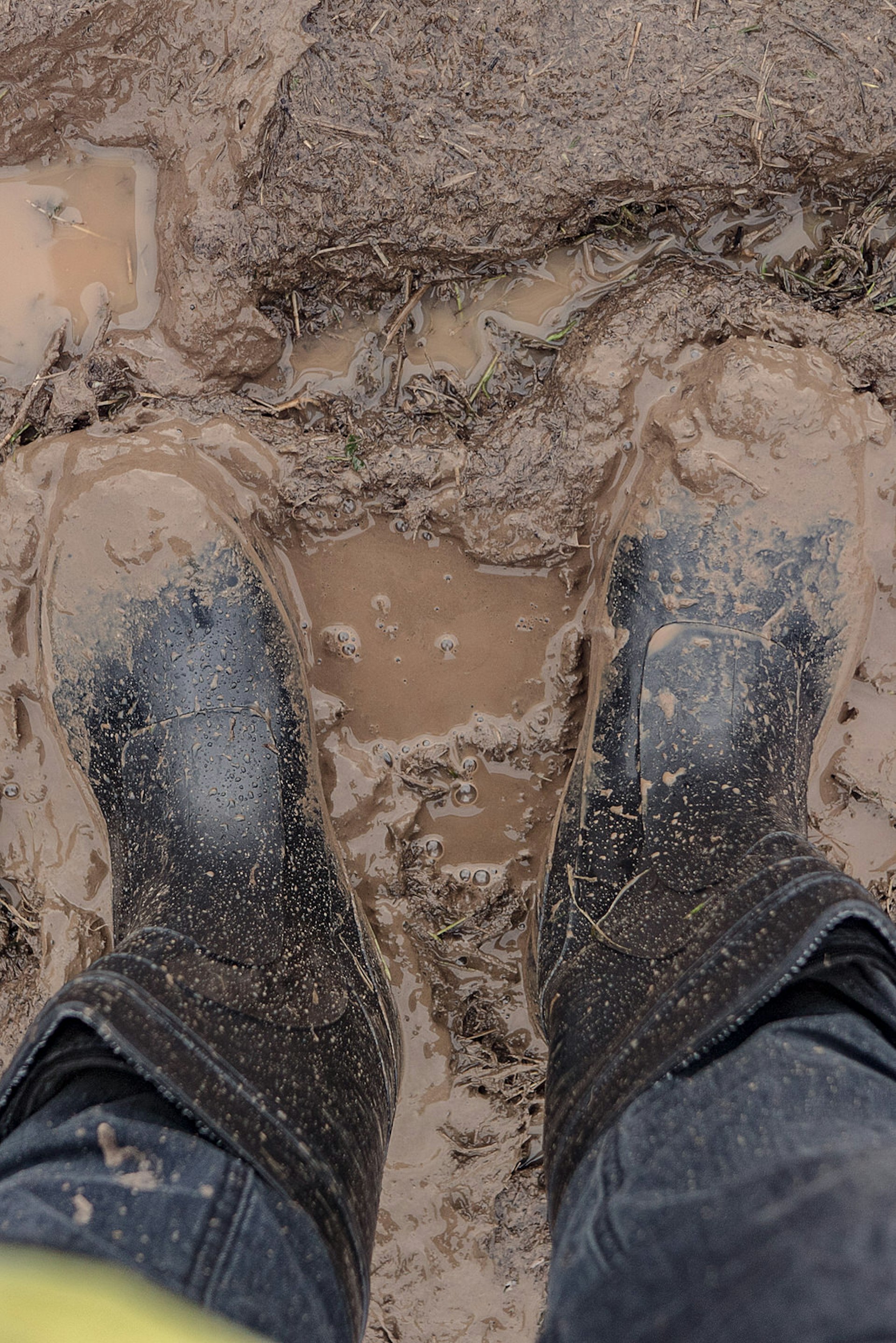 POV shot of a pair of wellington boots in mud © Dmitri Fedorov / Shutterstock