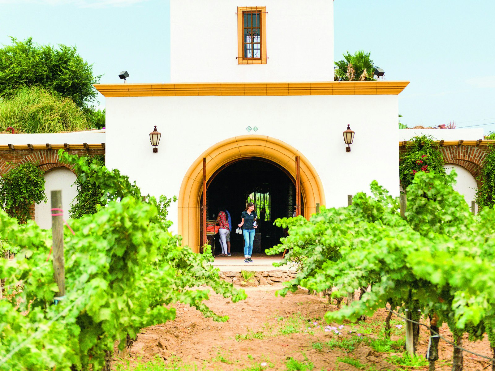 The hacienda-style Adobe Guadalupe winery