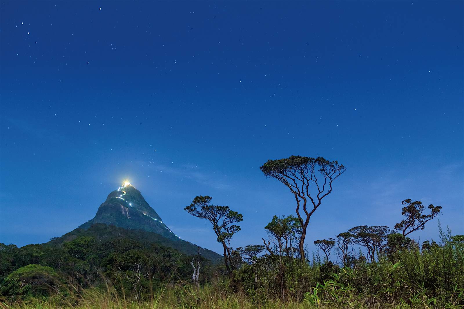 Features - 500px Photo ID: 64760233 - https://www.facebook.com/darshana.abraham The lights of pilgrims climbing Sri Lanka’s Adam’s Peak in the distance © Darshana Abraham / 500px