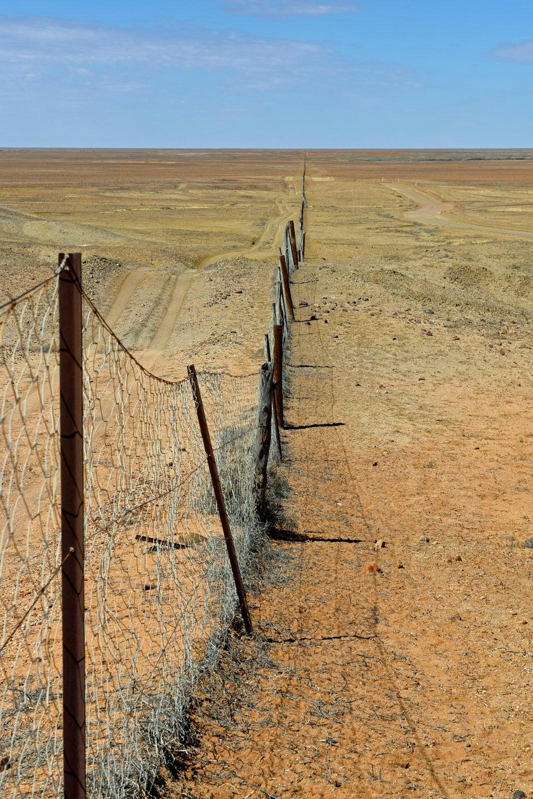 Dingo Fence crossing Australia's interior to protect livestock roaming vast cattle stations