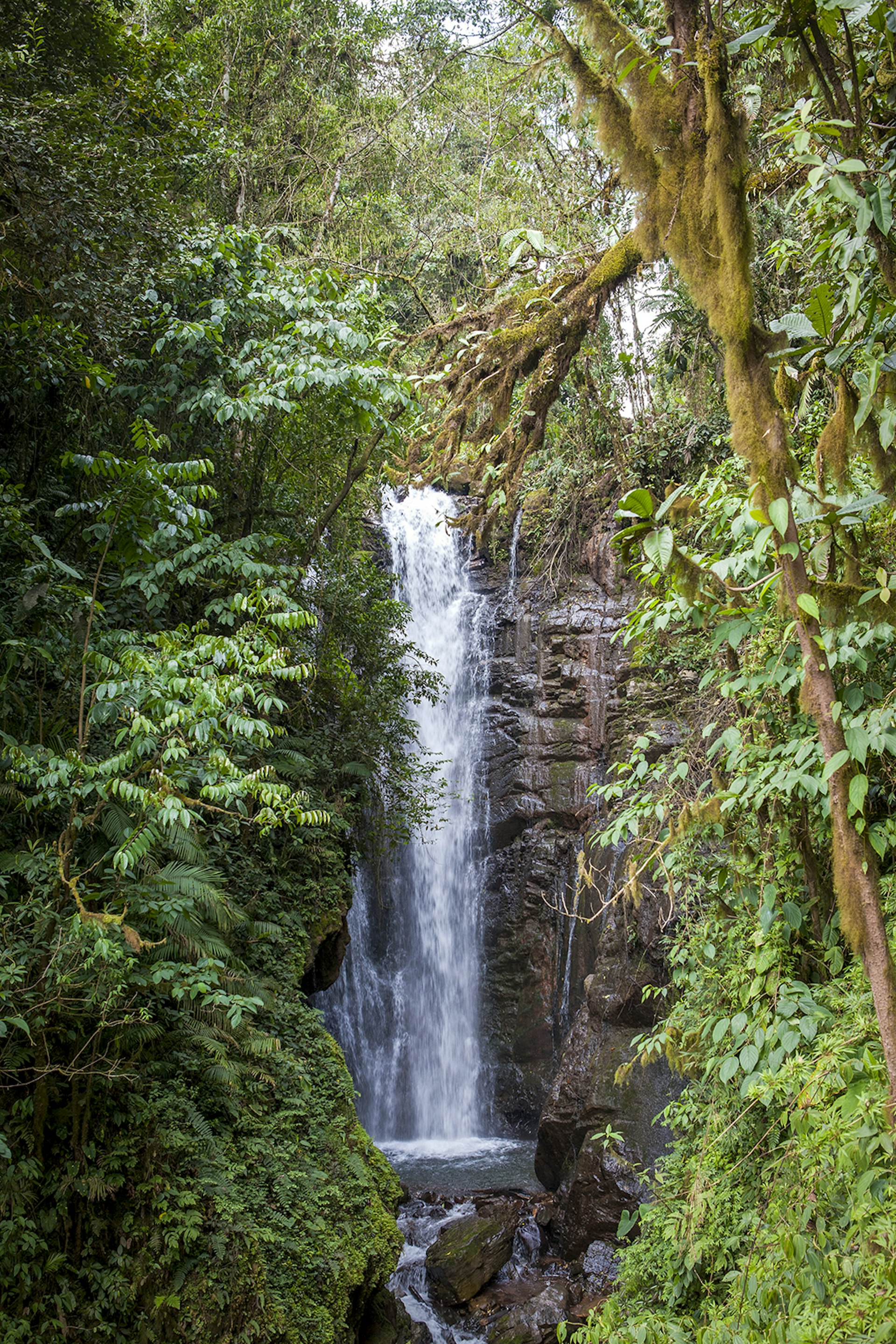 A tall, skinny waterfall framed by foliage © Erick Andía / Lonely Planet