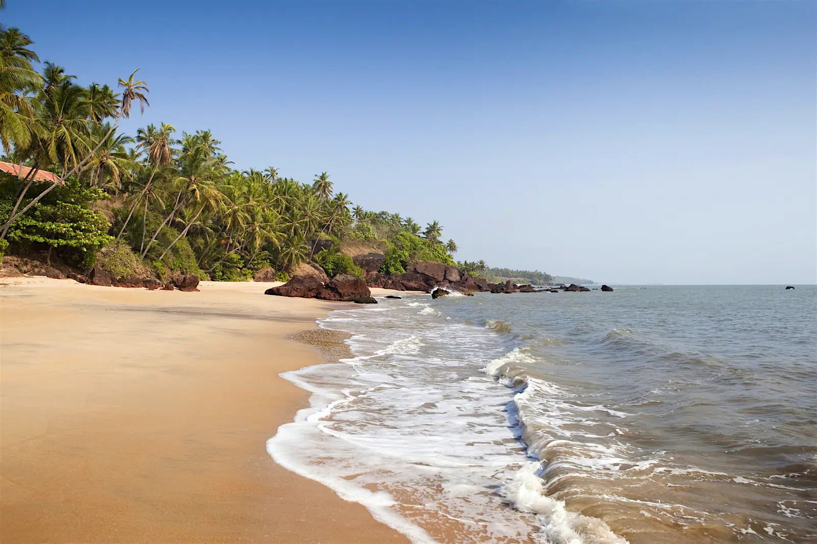 Features - Costa Malabari palm tree lined beach, Cannanore, Adhi Kadalai, Kerala, India A golden sandy beach with small breaking waves in northern Kerala © Neil Mcallister / Getty Images