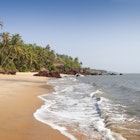 Features - Costa Malabari palm tree lined beach, Cannanore, Adhi Kadalai, Kerala, India