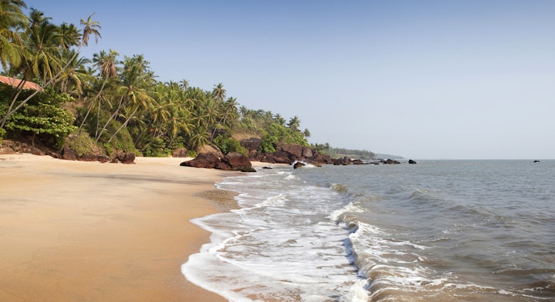 Features - Costa Malabari palm tree lined beach, Cannanore, Adhi Kadalai, Kerala, India