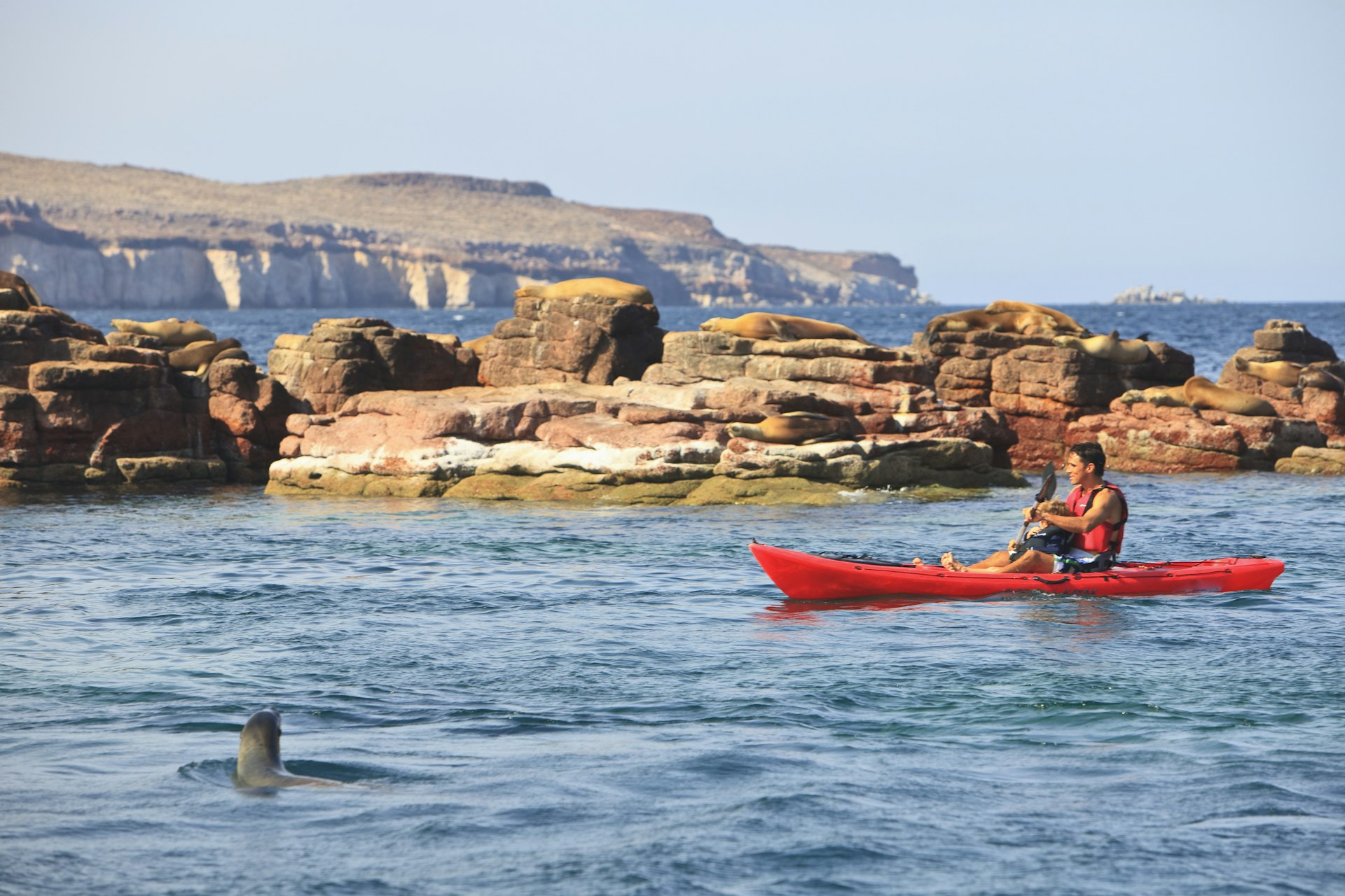 A man with a child on his lap kayaks in the Sea of Cortez as a curious sea lion peeks above the surface of the water