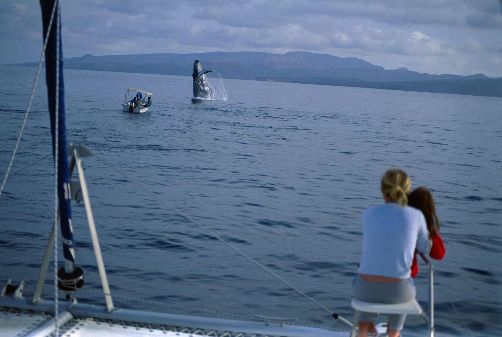 A woman and young girl watch a breaching humpback whale from the bow of a sailing catamaran © Mark D Callanan / Getty Images