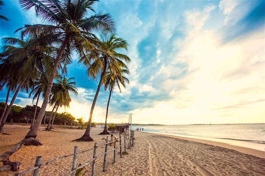 Palm trees at Surfers Point in Arugam Bay © Asanka Brendon Ratnayake / Getty Images