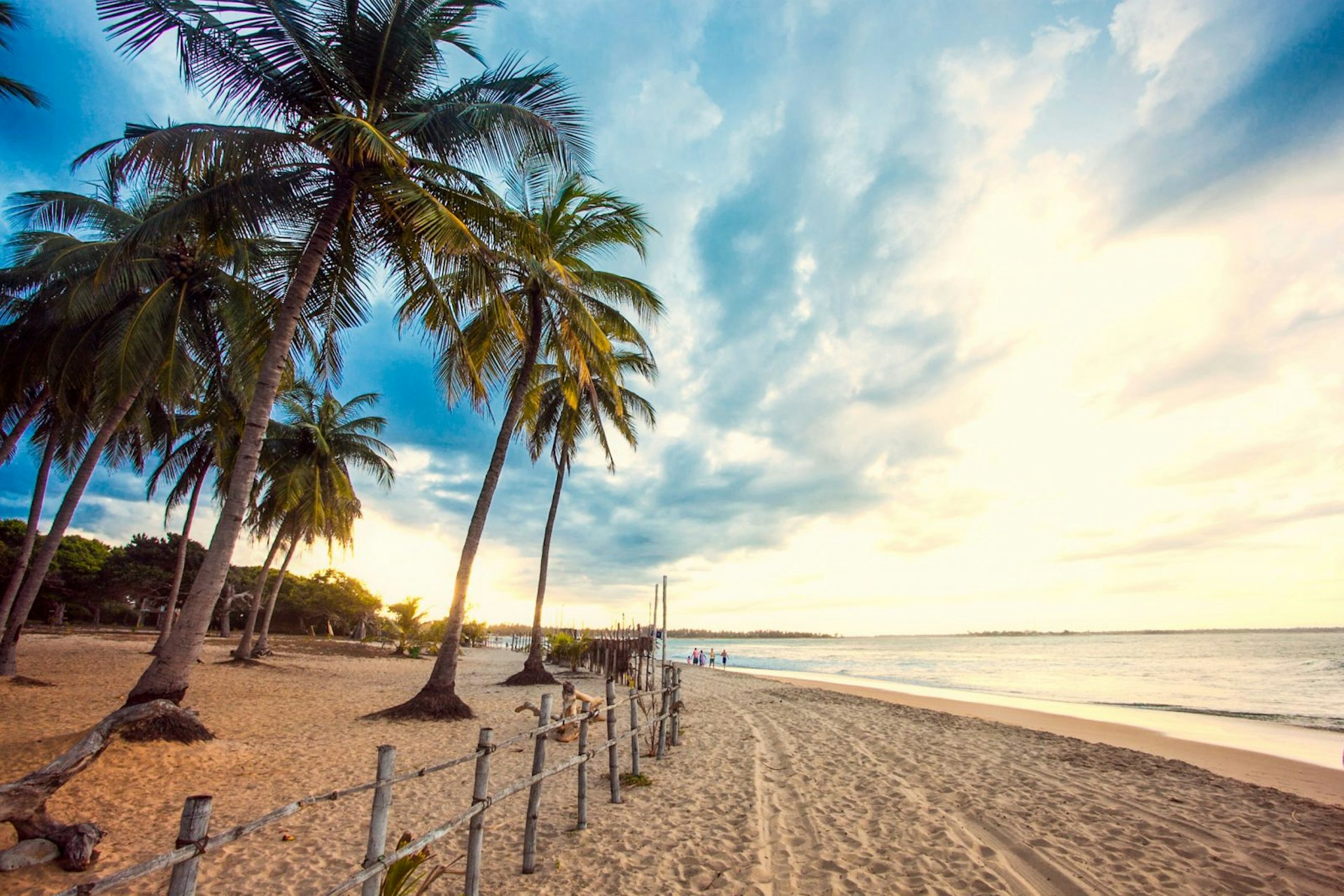 Palm trees at Surfers Point in Arugam Bay © Asanka Brendon Ratnayake / Getty Images