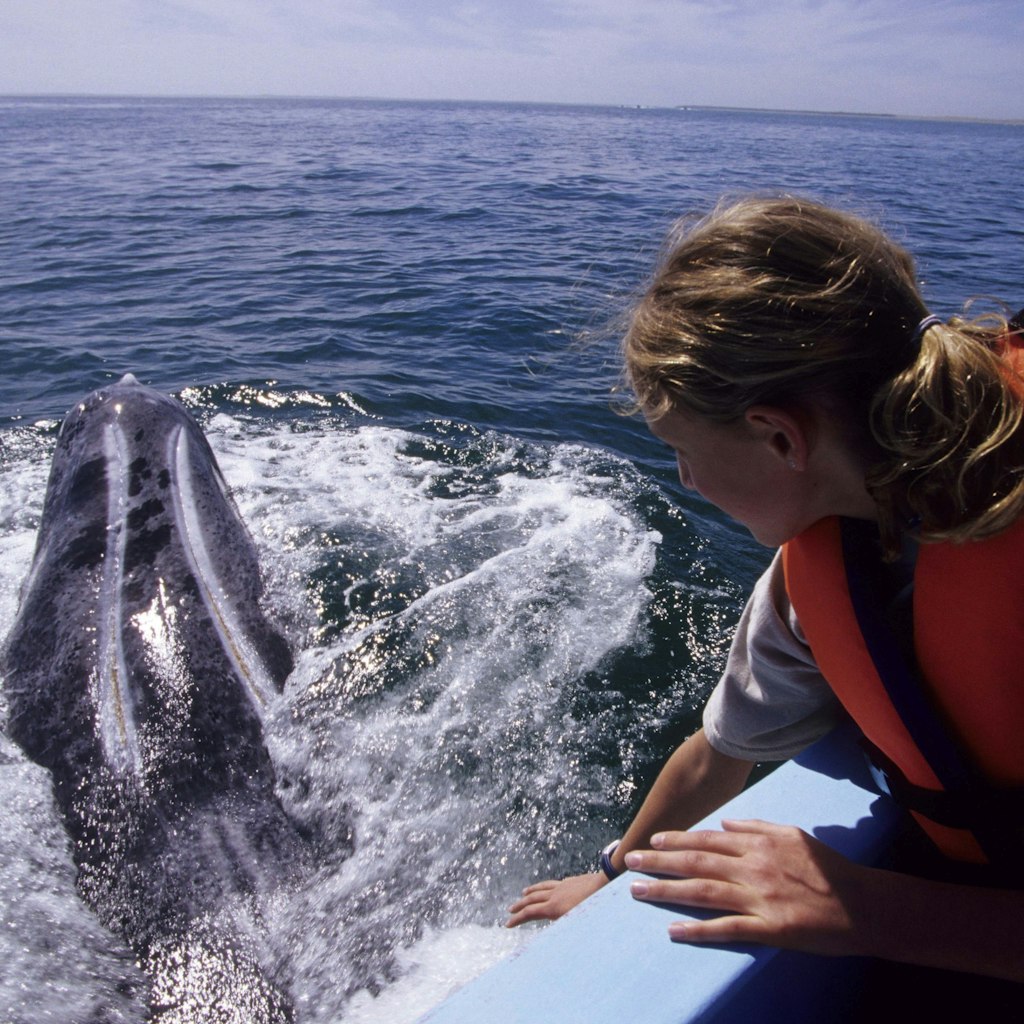 A young girl on a boat watches a grey whale surface © Wolfgang Kaehler / Getty Images