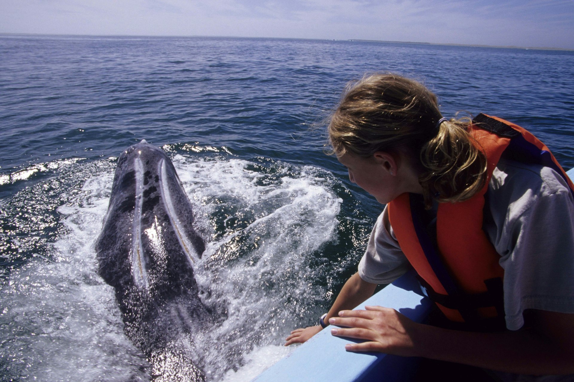 A young girl on a boat watches a gray whale surface © Wolfgang Kaehler / Getty Images