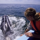 A young girl on a boat watches a grey whale surface © Wolfgang Kaehler / Getty Images