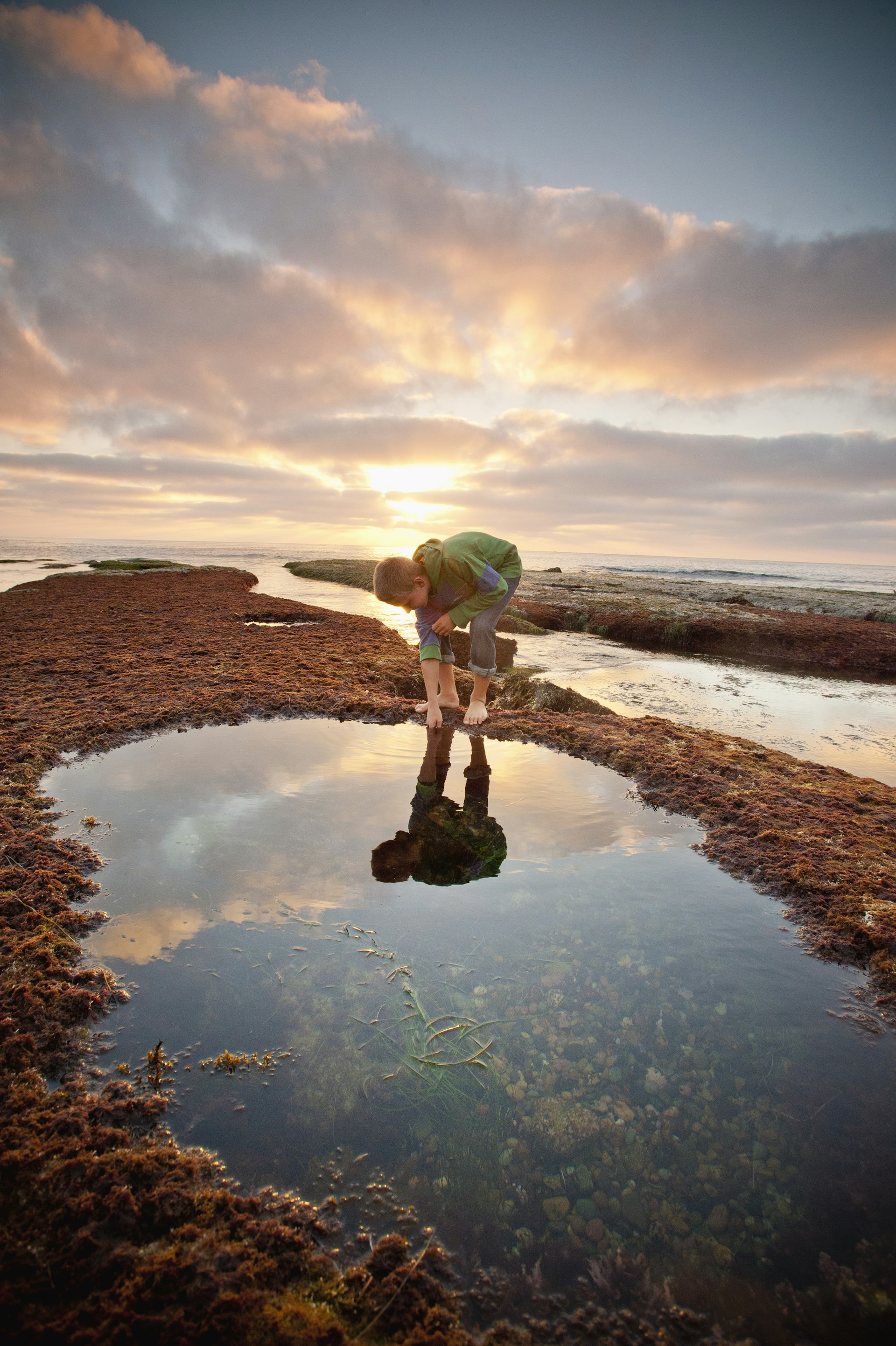 A boy examines a tide pool on the beach during sunset © Stephen Simpson / Getty Images