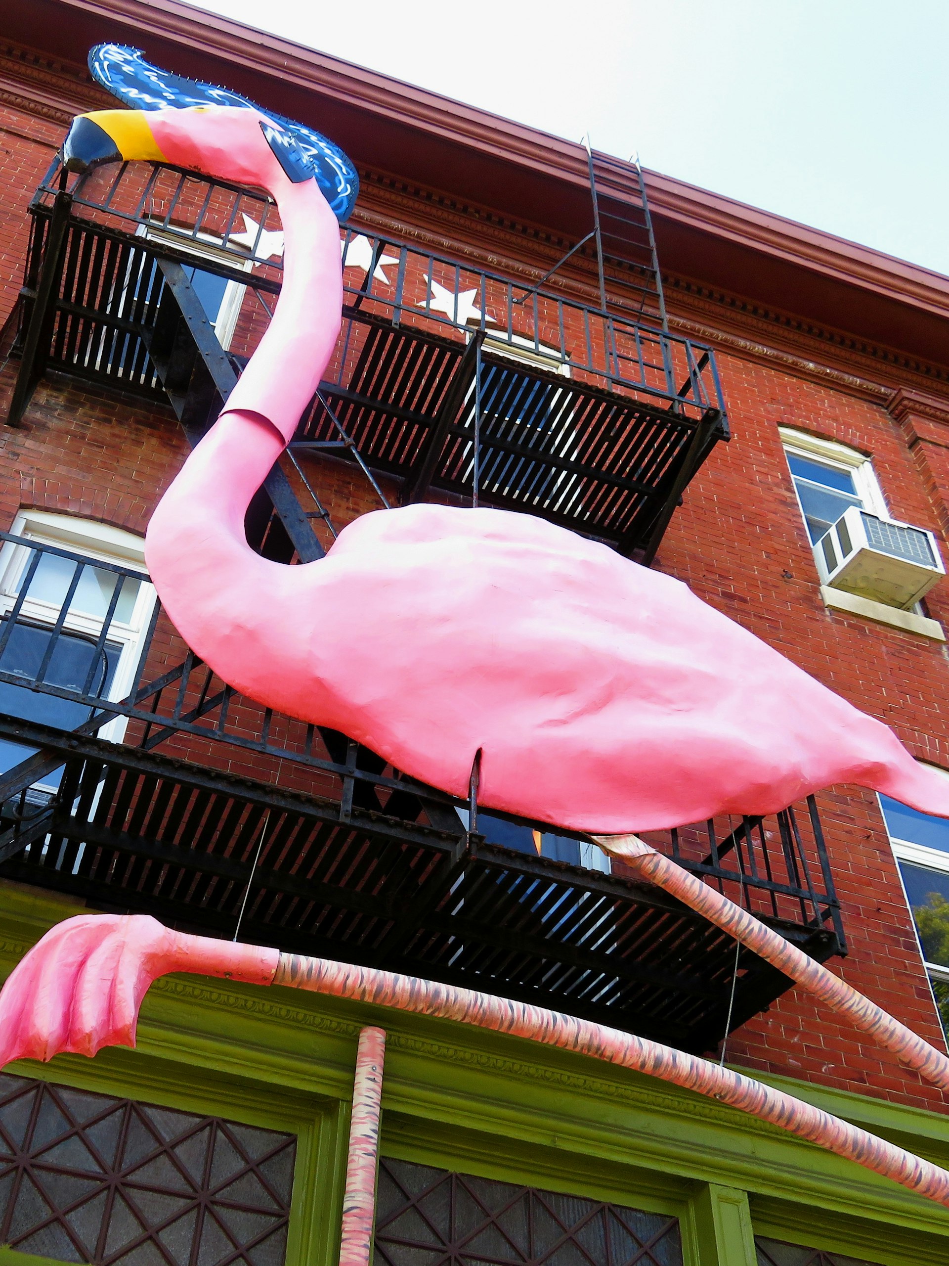 Large pink flamingo sculpture appears to scale a building's fire escape © Barbara Noe Kennedy / Lonely Planet 