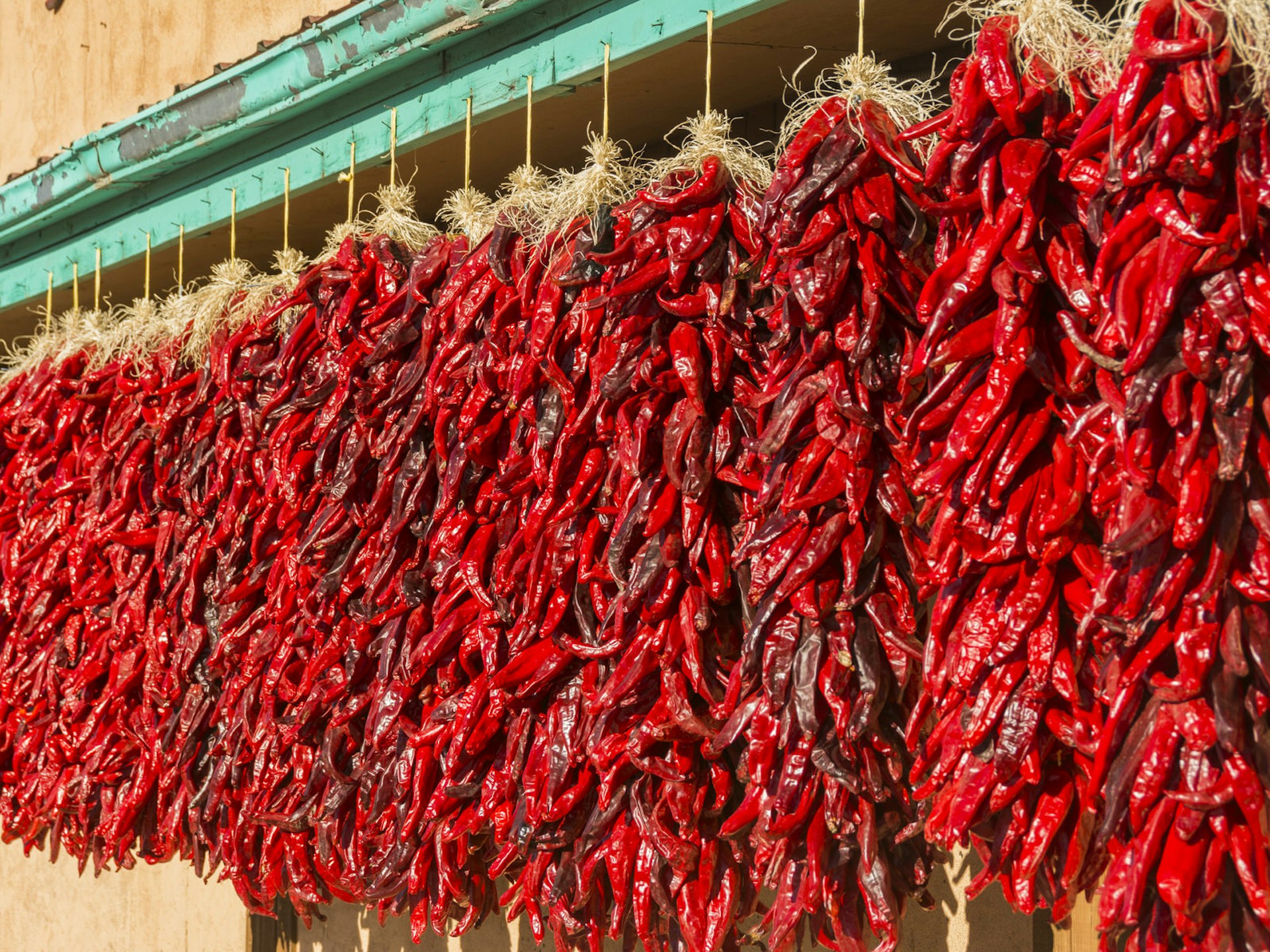 Row of red chile pepper bundles hung outside a building. Chile peppers, sometimes hung on ristra strings, are the drawcard of New Mexican cuisine © John Elk III / Getty Images