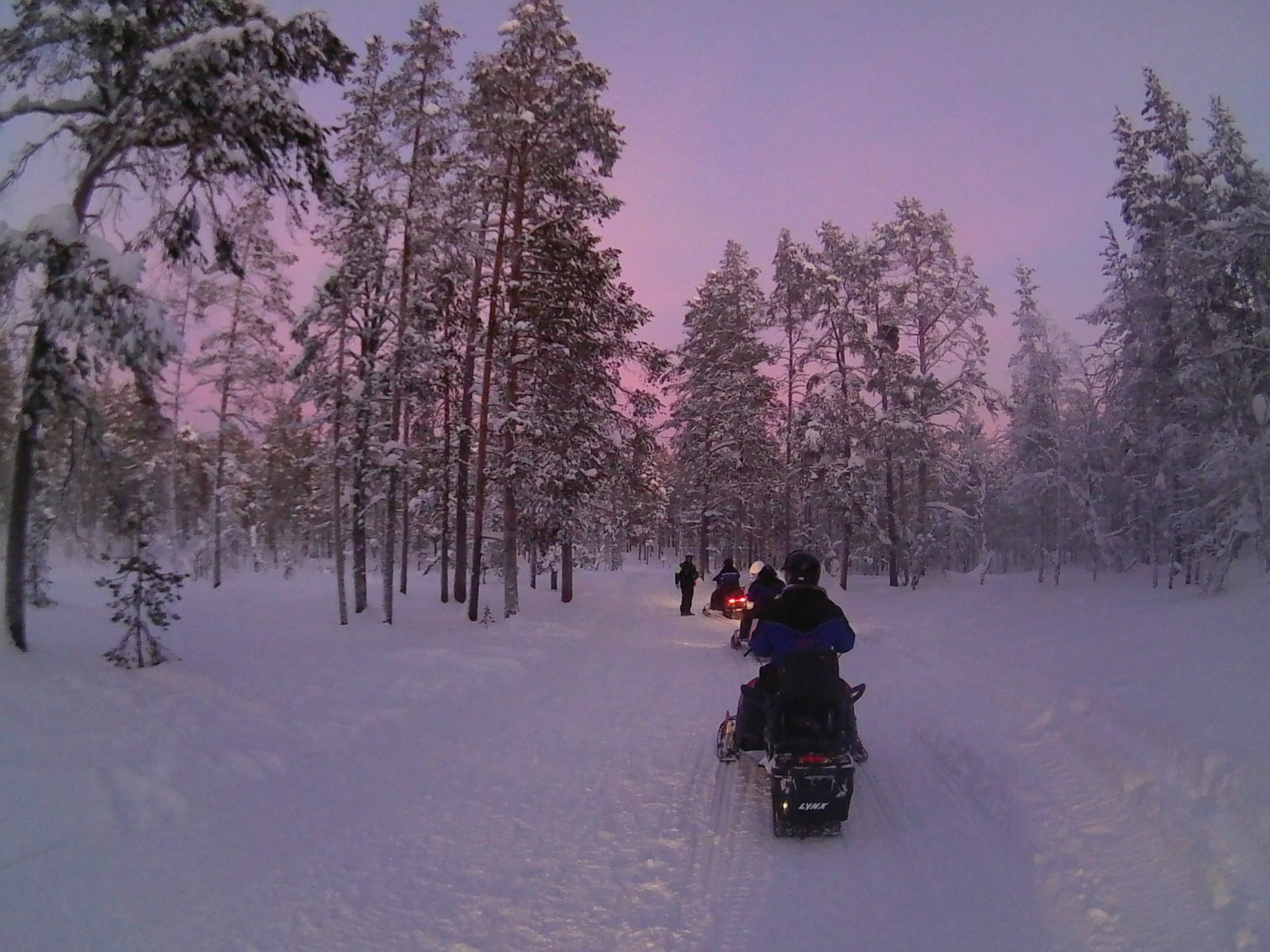 Several snowmobilers lined up one behind the other between the trees in a forest trail under a pink sky.