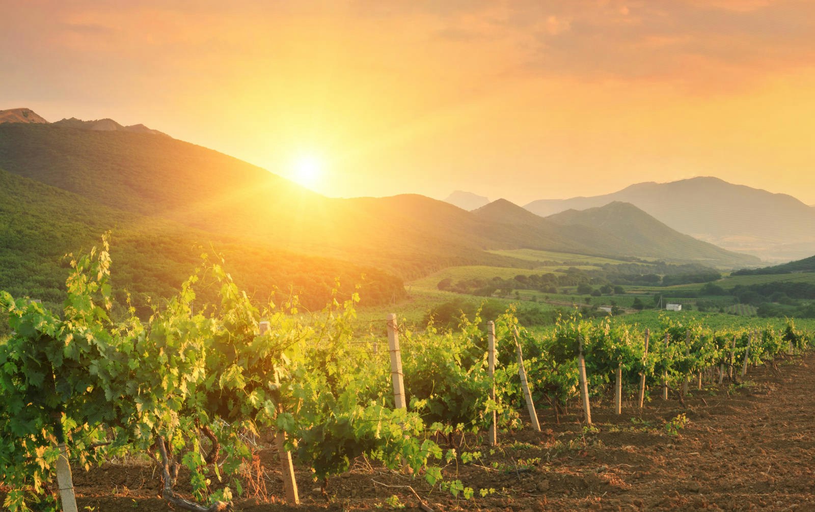 Sun shining over mountains and a vineyard in Lebanon © Anton Petrus / Shutterstock