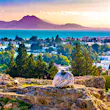 View from hill Byrsa with ancient remains of Carthage and landscape. Tunis, Tunisia. © Romas_Photo / Shutterstock
