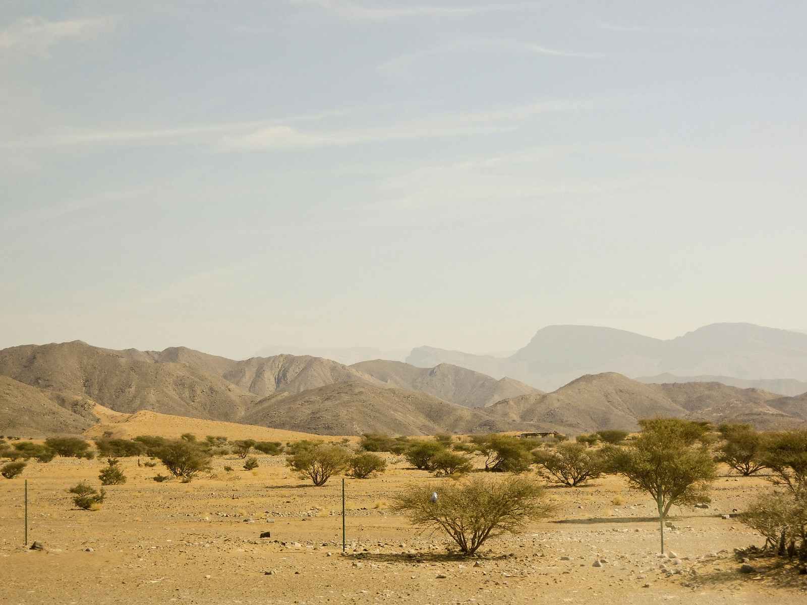 Desert tears: exploring southern Oman’s land of frankincense