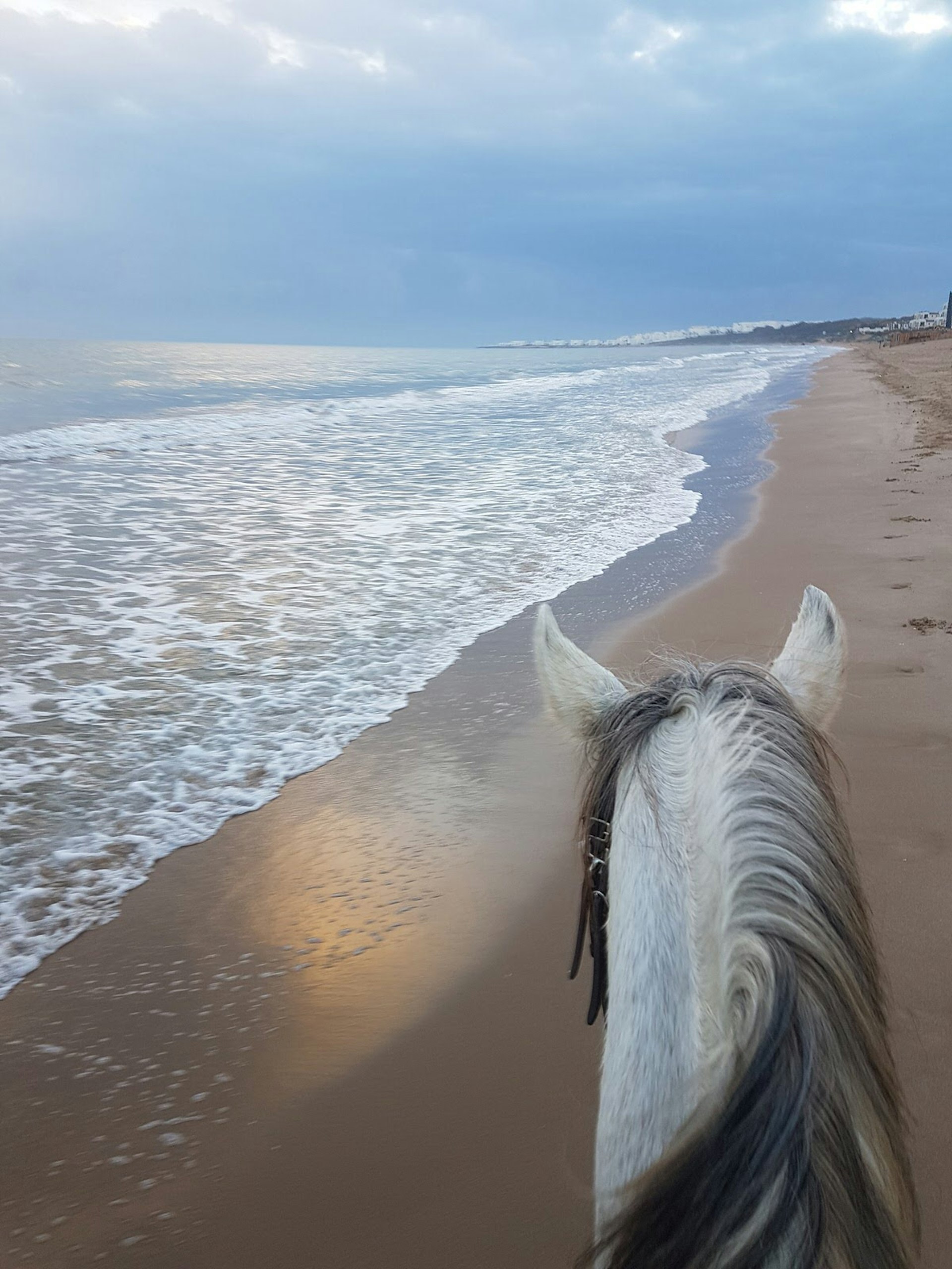 On horseback on the beach in Gammarth, Tunis, Tunisia © Erin Harvey / Lonely Planet