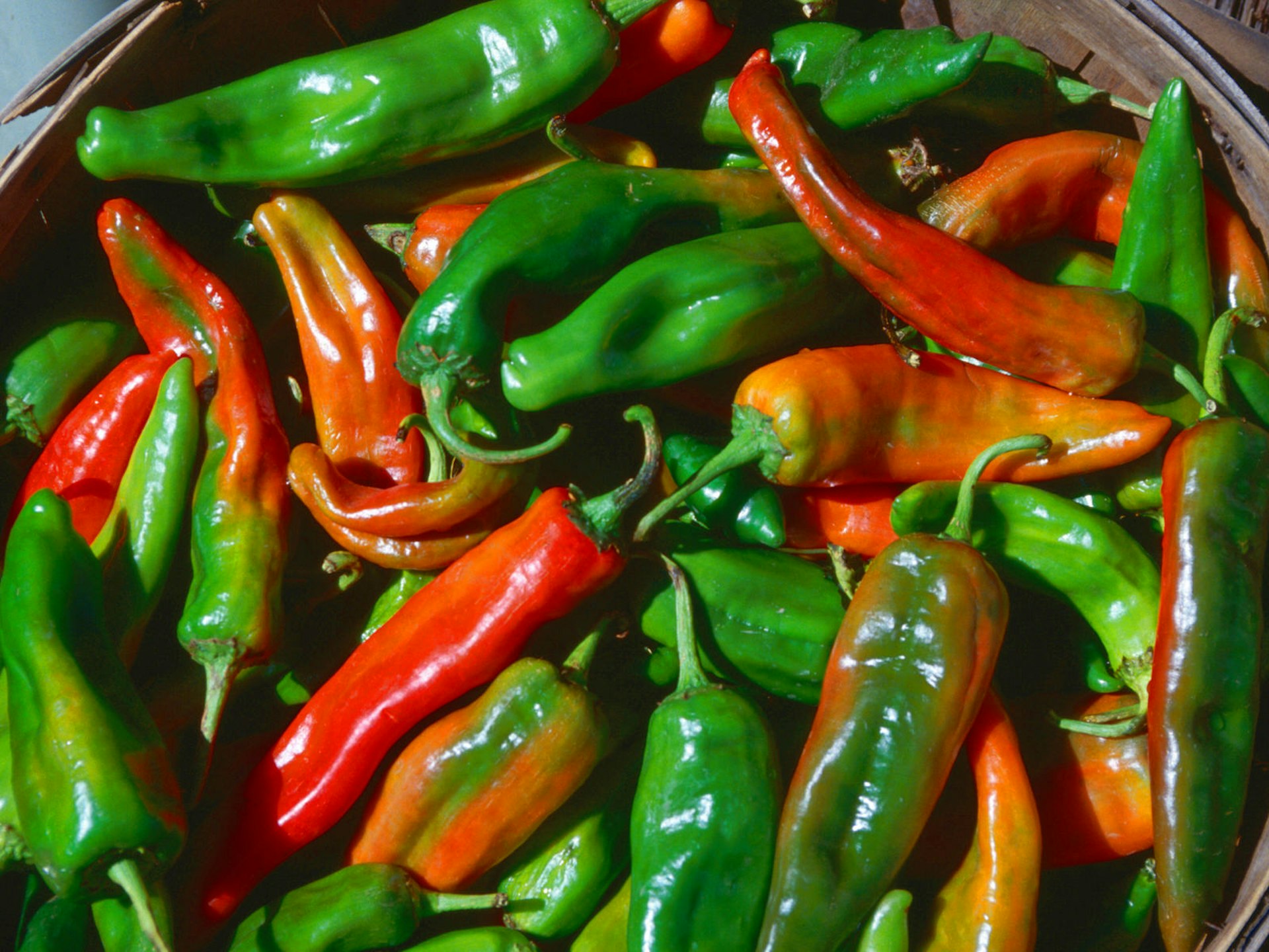 A bushel of half-ripe chiles ready to be roasted © John Elk III / Getty Images