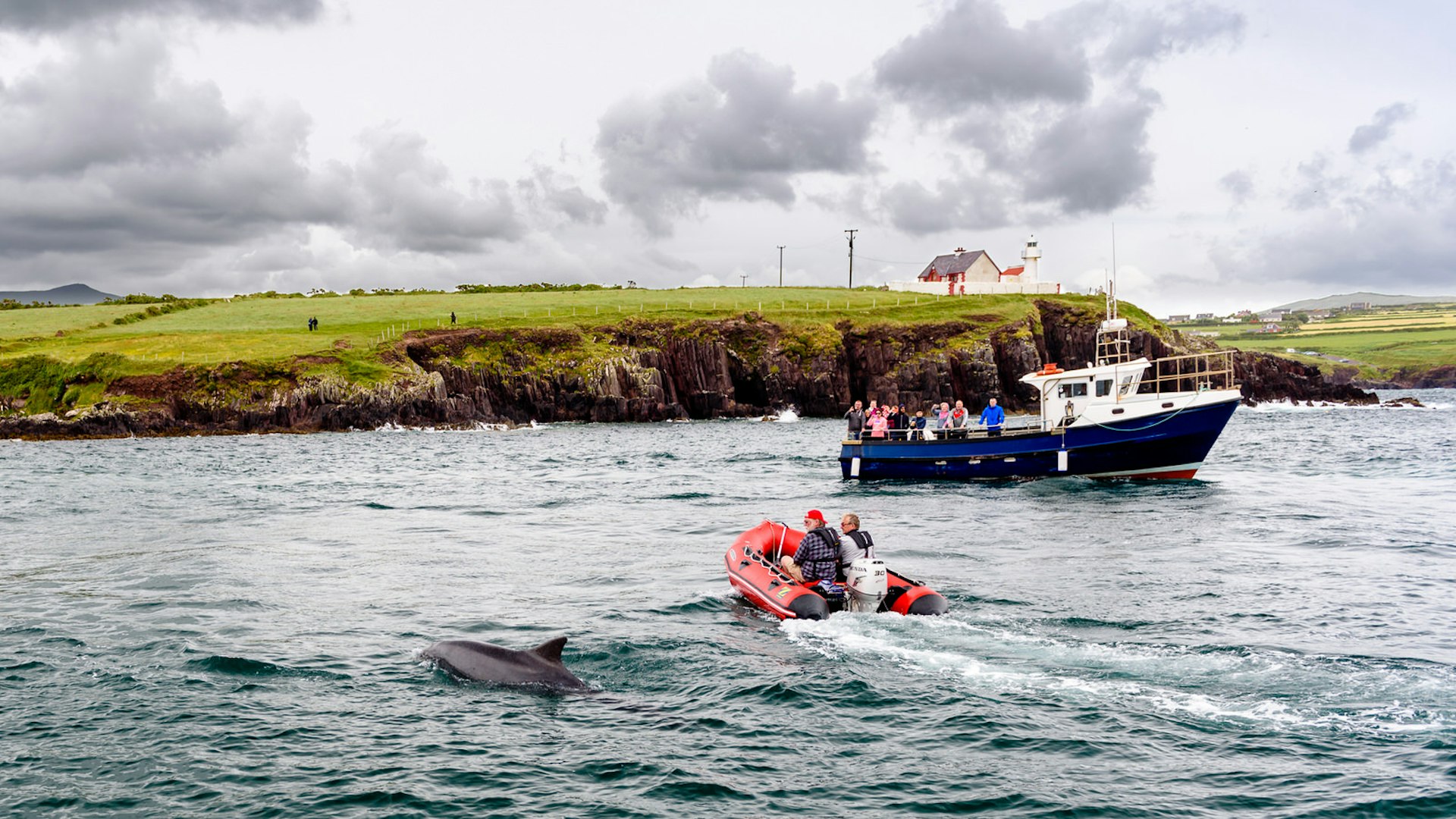Fungie, Dingle's resident dolphin, greets boat trippers © Jacek Rogoz / Shutterstock