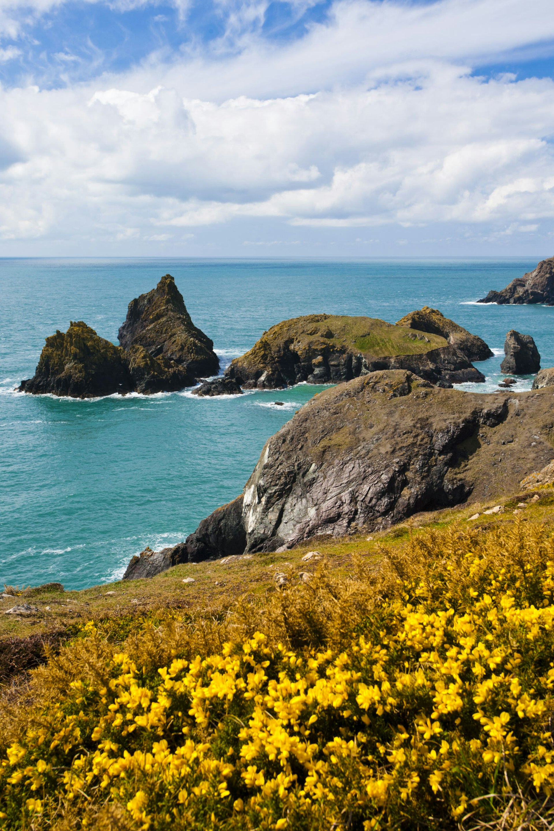 Kynance Cove, Lizard Peninsula, Cornwall, UK © ian woolcock / Shutterstock