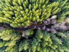 Features - 500px Photo ID: 216366003 - A car winds through the forest as seen from above.  Shot with the DJI Phantom 4