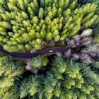 Features - 500px Photo ID: 216366003 - A car winds through the forest as seen from above.  Shot with the DJI Phantom 4