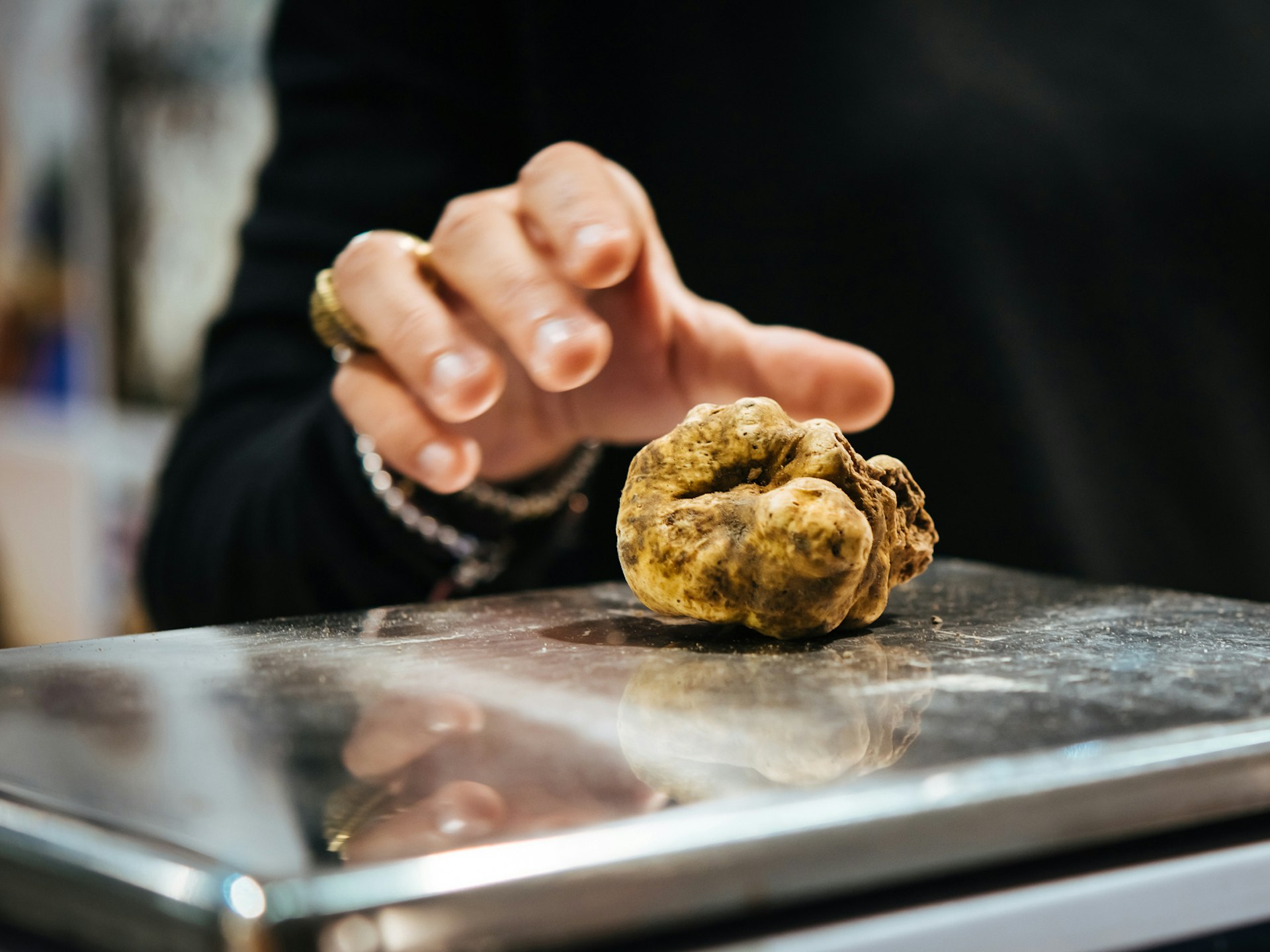 A white truffle is carefully weighed at the Alba Truffle Fair in Italy