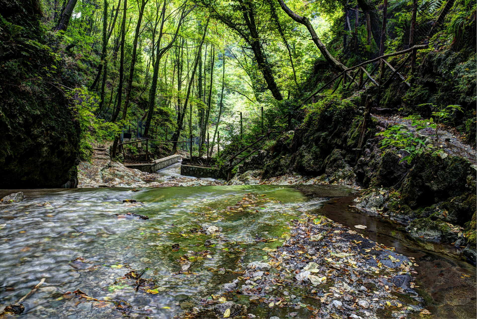 A river running past the lush green trees of the Valle delle Ferriere