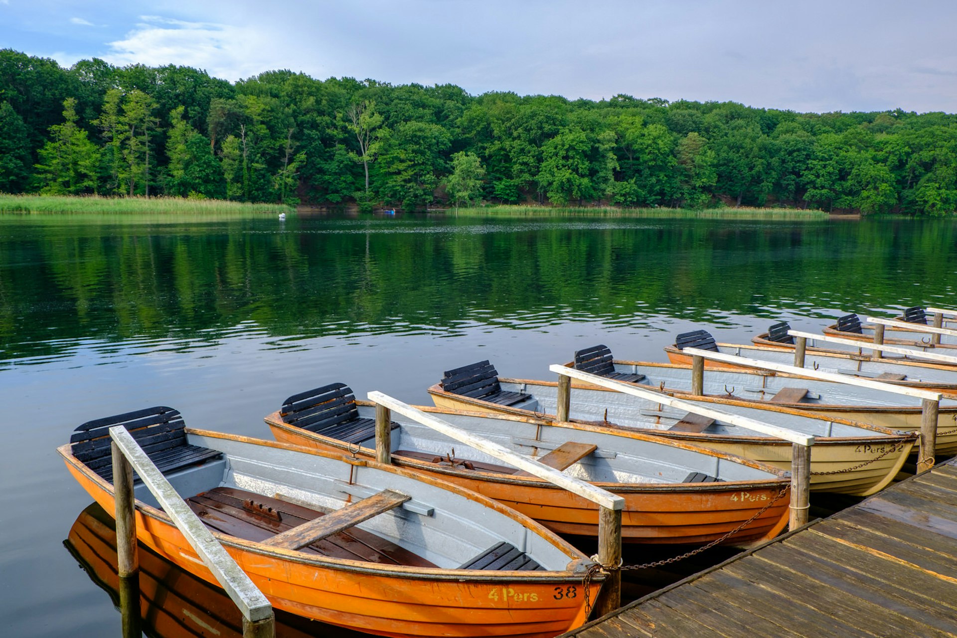 Berlin day trips - recreational boats moored along the bank of Schlachtensee. The boats have orange wooden exteriors and are painted white on the inside. The lake is calm and we can see lovely green trees on the opposite bank