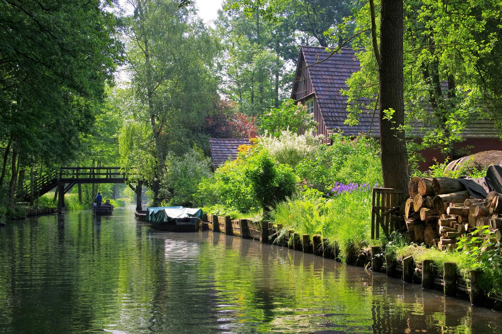 Berlin day trips - Spree Forest house, in Spreewald, viewed from a canal. The house's peaked roof prtrudes from colourful flowering trees and there is a wooden bridge over the canal in the distance