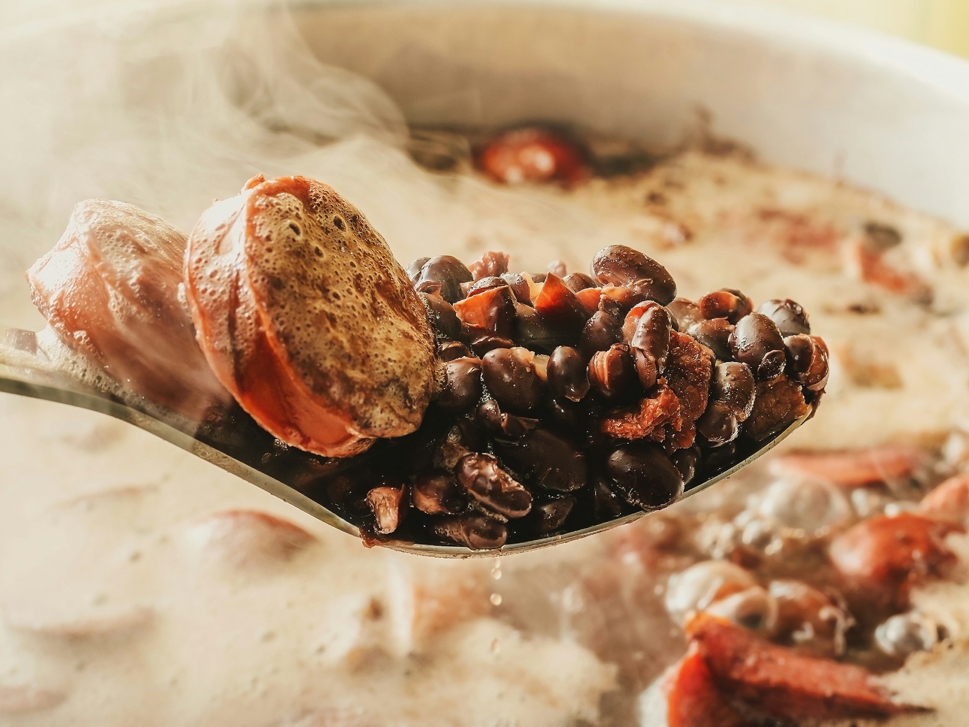 A pot of feijoada simmering on the stove © Vinicius Bacarin / Shutterstock