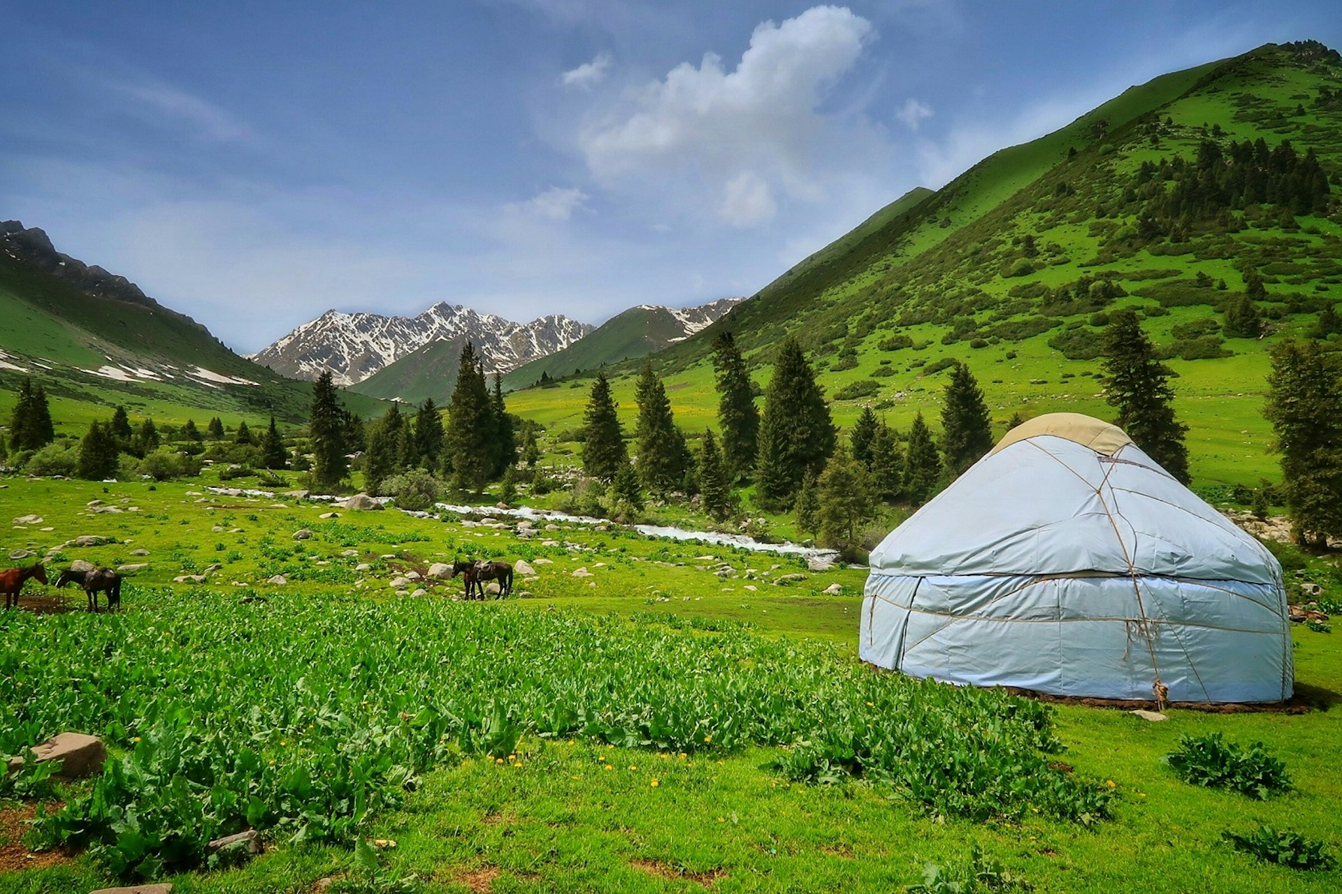 Eki Chat Yurt Camp, Kyrgyzstan © Nick Wharton & Dariece Swift - www.goatsontheroad.com